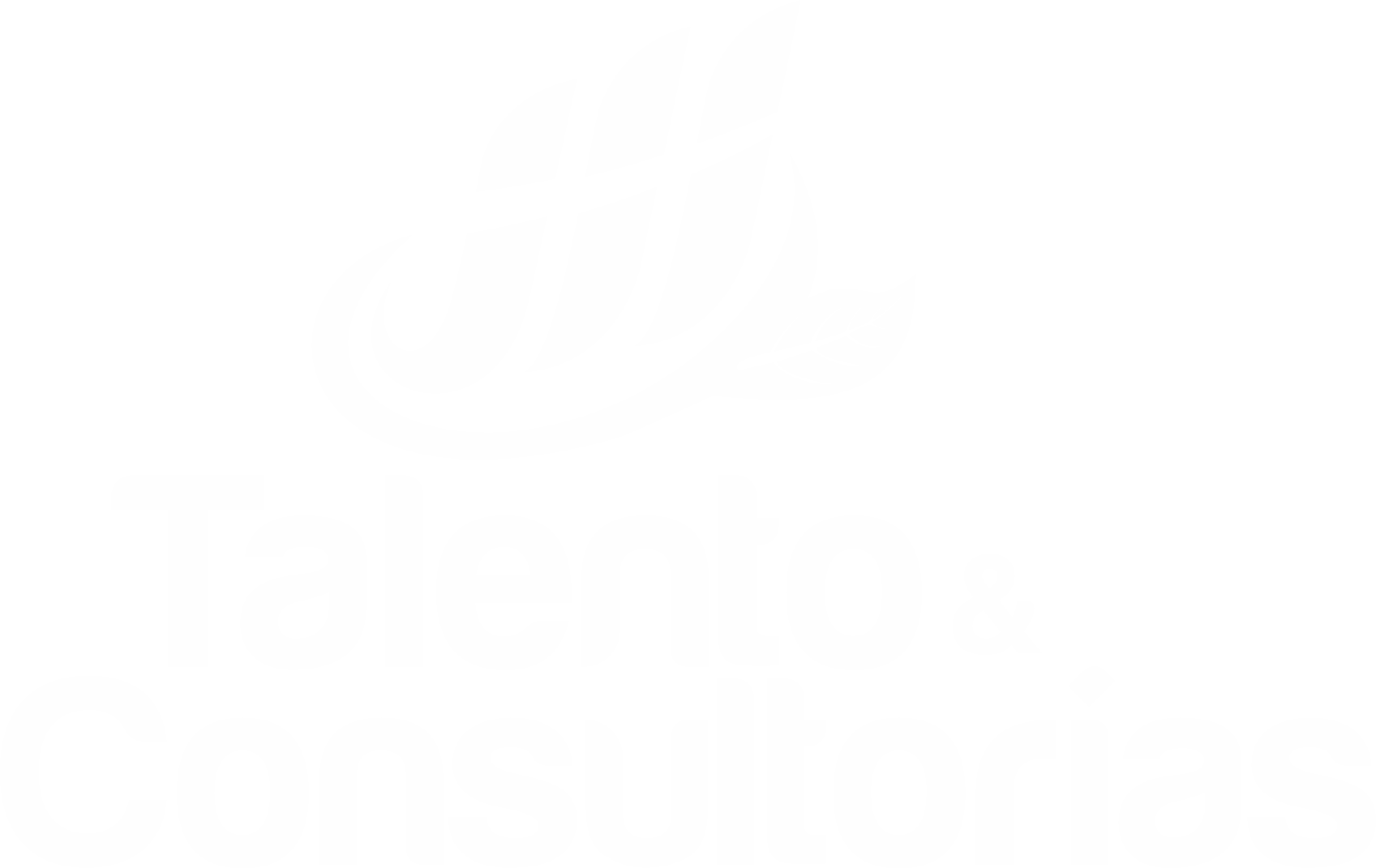 Talento & Consultorías S.A.S